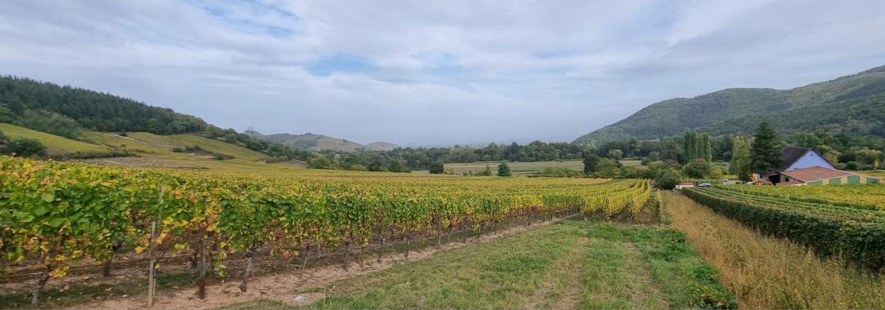 Nid 2 Cigognes Villa Zimmerbach Ngoại thất bức ảnh